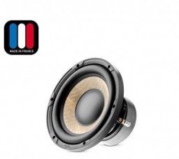FOCAL EXPERT P20F.jpg