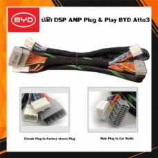 11ปลั๊ก-DSP-AMP-Plug-&-Play-BYD-Atto3.jpg